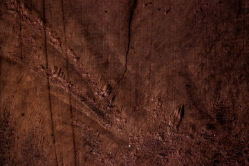 Fototapeta premium Wood Textures Backgrounds