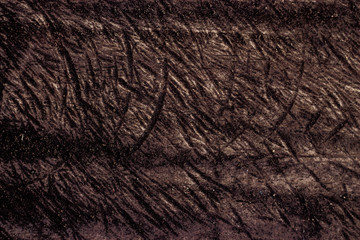 Wood Texture Backgrounds