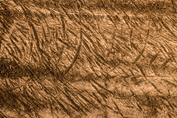 Wood Texture Backgrounds