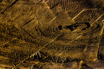 Wood Texture Backgrounds