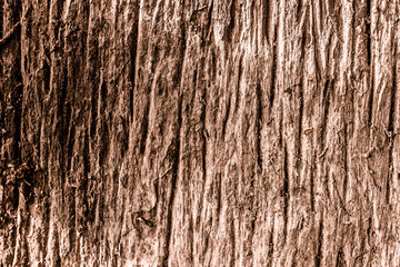 Wood Texture Backgrounds