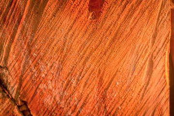 Wood Texture Backgrounds