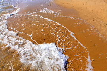 sand reef and water in the wild