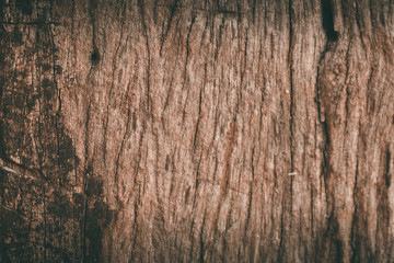 Obraz premium Wood Texture Backgrounds