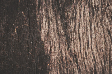 Wood Texture Backgrounds