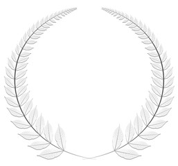  couronne feuillage, fond blanc