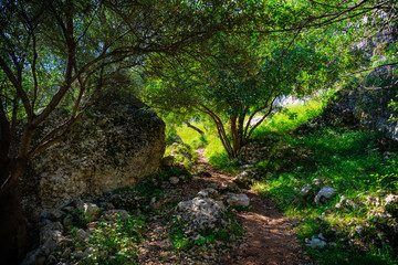 Obraz premium Natural landscape in valley, Anapo valley, Pantalica, Sicily