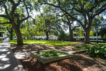 Obraz premium Bonaventure Cemetery in Savannah