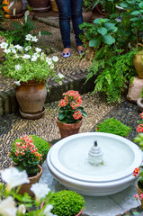 flowers in pots and fountain in a garden in cordoba