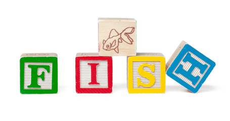 Obraz premium Colorful alphabet blocks. Word fish isolated on white background