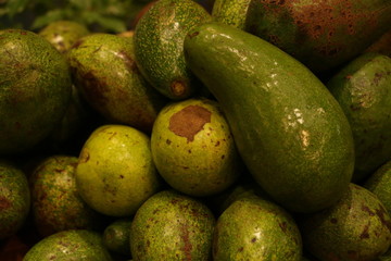 Avocado Close up