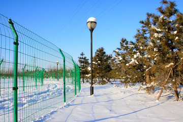 Obraz premium Metal fences and street lamps in the snow