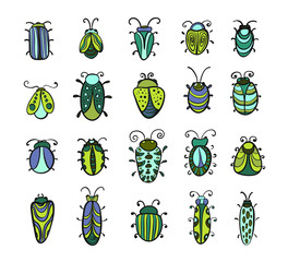 Fototapeta premium Set of vector beetles on white background