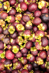 Mangosteen Close up