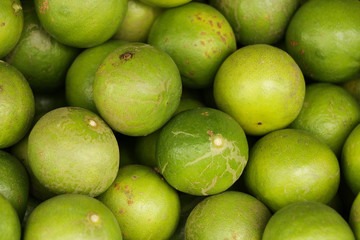 Lime Close up