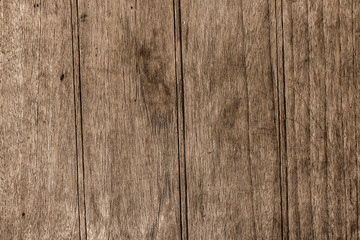 Fototapeta premium Wood Textures Backgrounds