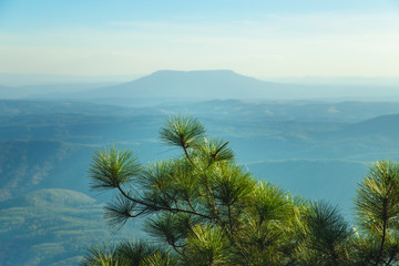 The landscape on the top of the mountain has pine trees and rocky cliffs. See beautiful scenery in Thailand.