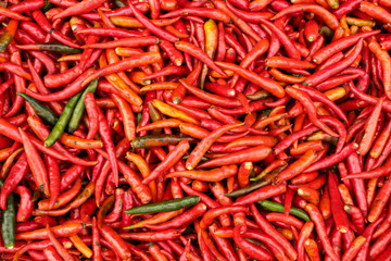 Chili Close up