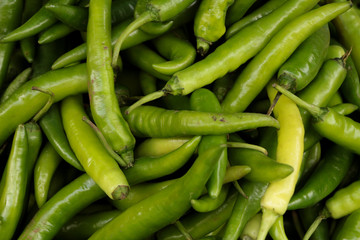 Chili Close up