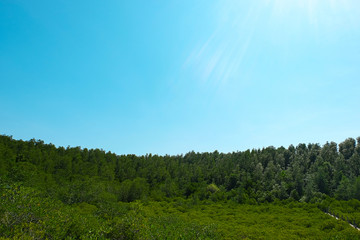  Nature Preserve and Forest