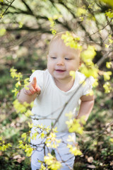 One year old playing alone under blooming forsythia in a park
