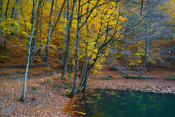 autumn in the Yedigoller park, Bolu