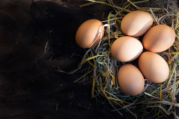 On a piece of wood, there are many fresh eggs placed on a straw. On the farmer's farm that is stored for the family's consumption