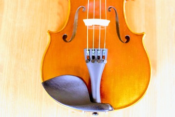 バイオリンの美しい曲線