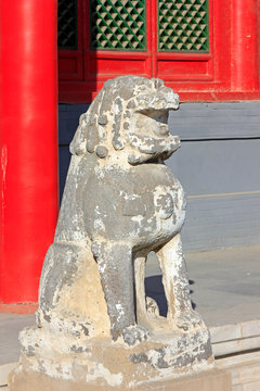 Stone lions in a temple