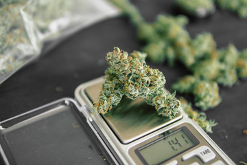 Macro shot of cannabis flowers with trichomes
