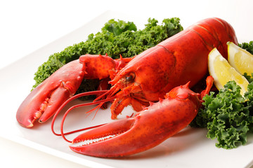 ロブスター　Lobster