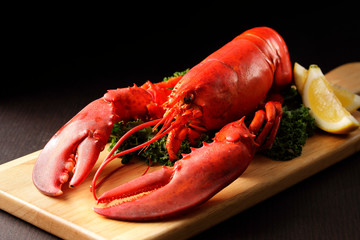 ロブスター　Lobster