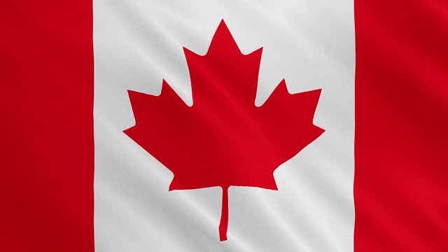 Canada flag is waving animation. Symbol of flag on fabric cloth