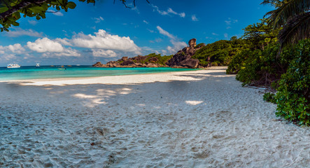 Panorama of a beautiful, empty tropical sandy beach surrounded by lush, green jungle (Similan Islands)