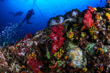 Fototapeta na wymiar SCUBA divers swimmong on a colorful tropical coral reef