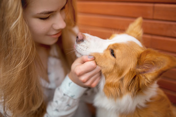 portrair of smiling girl cuddle red and white dog border collie