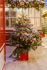 Fototapeta na wymiar Illuminated and decorated Christmas tree