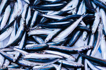 Fototapeta premium Fresh fish for sale in the fish market of Catania, Sicily, Italy.