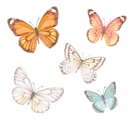 Plakat collection of delicate butterflies. watercolor painting