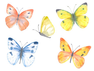 Fototapeta na wymiar colorful collection of delicate butterflies. watercolor painting