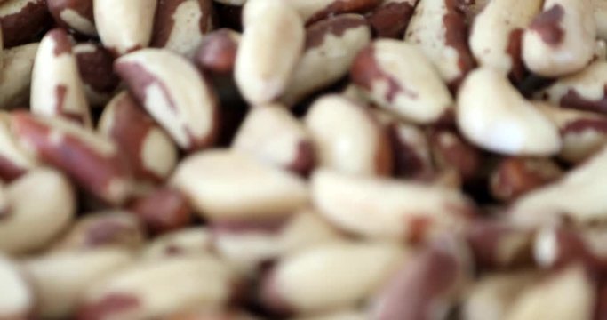 Brazil nuts 2