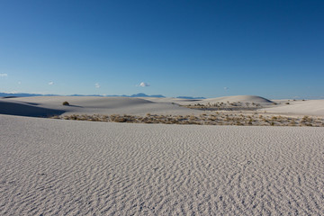 white sands