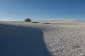 White sands