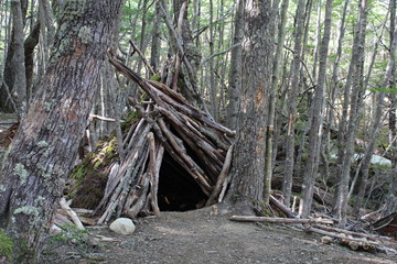 Wooden  shelter  in  the  forest