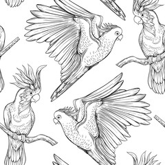 Seamless pattern, background with tropical birds © Elen  Lane