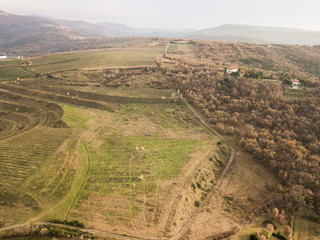 Naklejka premium Aerial view drone of amazing autumn colors in the vineyards,