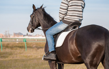 Man riding horse, striped pullover, blue jeans, hat, close up