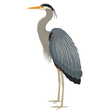 Forest Wild Life Isolated vector animals Geometric Great blue heron