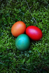 colorful easter painted eggs