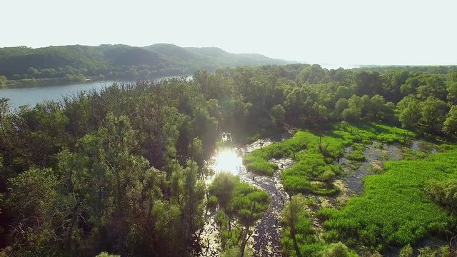 4K aerial view of river and birds, 4K aerial view of Cormorants on trees, 4K aerial view of nesting cormorants, Birds Making Nests, Cormorants resting on dry tree, 